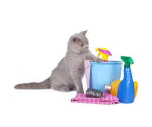 HIGIENE, os melhores produtos para o seu animal